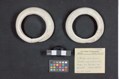 Foto (Übersicht mit Etikett) von Ringe aus Conus-Schale (NHMW-ZOO-MO-0081100-ETH-140)